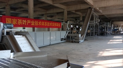 六堡茶初制生產(chǎn)線(xiàn)